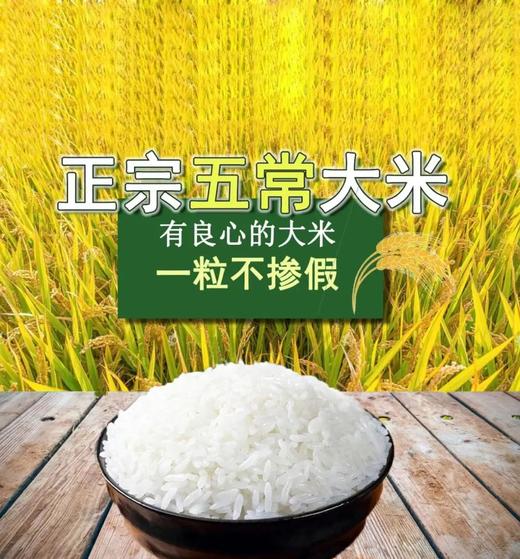 五常稻花香大米， 米中贵族，连白米饭都是人间美味 商品图4