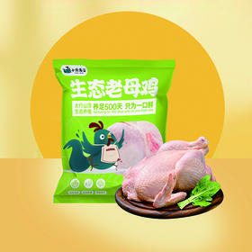 小鸡海蒂·太行山生态老母鸡1只装 1.15kg