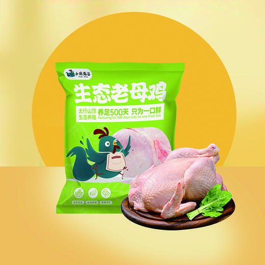 小鸡海蒂·太行山生态老母鸡1只装 1.15kg 商品图0