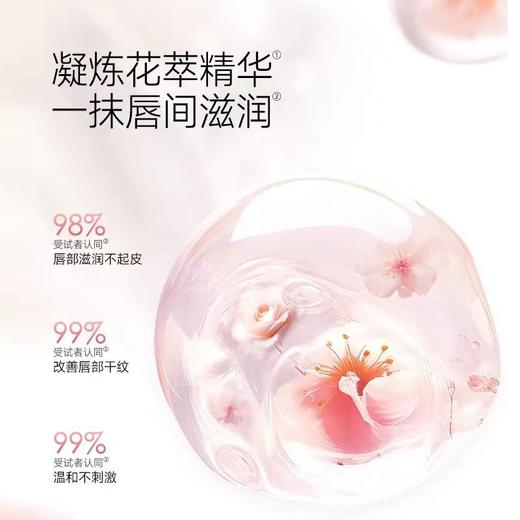 卡姿兰花卉彩色润唇膏2g 商品图1