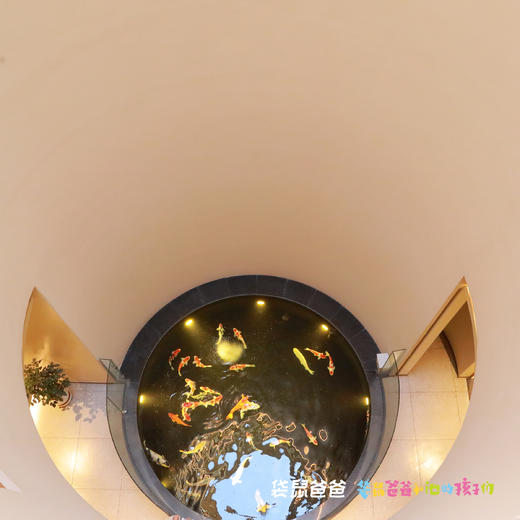 【袋鼠爸爸去哪儿丨咸阳袁家村系列之里享精品民宿】民宿近袁家村主街、小吃街，出门就能感受到古街的市井繁华，院内圆形天井寓意美好，每一个角落细节满满，客房设计风格独特，保留了怀旧情怀的同时融合现代元素 商品图5