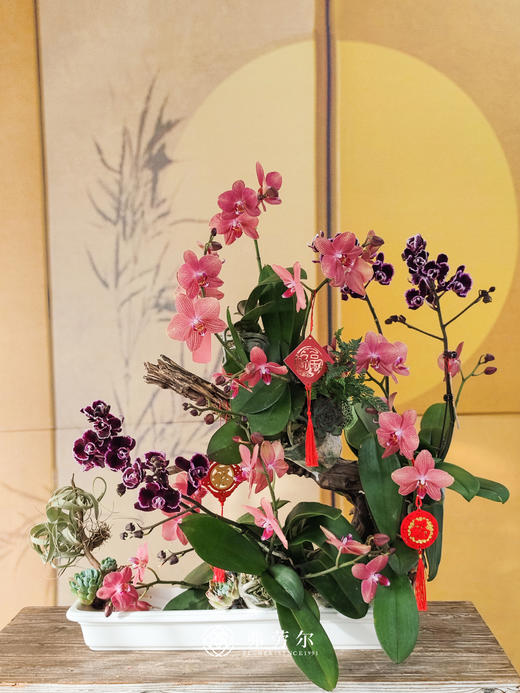 JT金蛇呈祥 商品图0