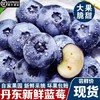 【顺丰空运】东北丹东L25蓝莓鲜果 脆甜花香个大 营养丰富 现摘现发 新鲜水果 - BYKSG 商品缩略图0