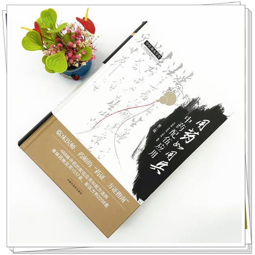 用药如用兵:中药配伍应用(第二版) 冯建春 史原朋 王新昌 编著 中国中医药出版社 中医师承学堂 临床书籍 商品图1