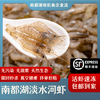 南都湖有机小河虾（5-7cm）200g/袋*5 商品缩略图0