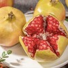【云南皇冠软籽石榴】大口吃不吐籽 皮薄易剥 果粒饱满 粒粒爆汁 酸甜爽口 2种规格可选 商品缩略图2