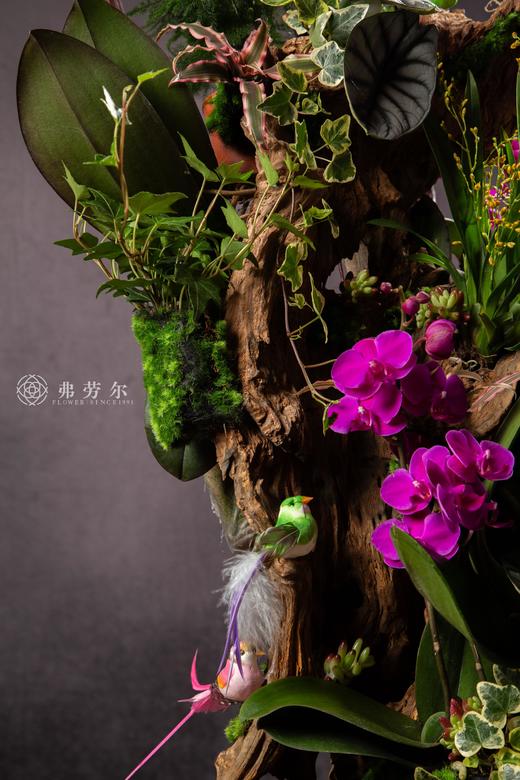 瑞蛇传喜讯 商品图2