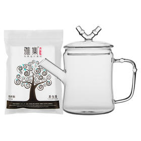雅集玻璃壶泡茶精灵550ml（单壶含茶包袋）