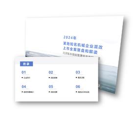 案例 | 某知名机械企业混改上市复盘解读（2024）