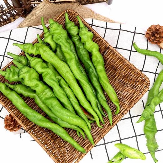 MM 山姆 高山螺丝椒 700g 商品图2