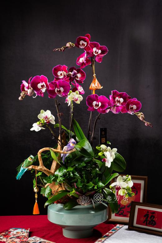 笑口常开 商品图0