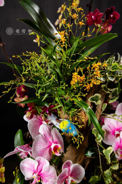 祥蛇贺岁 商品图4