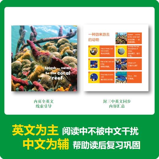 【99选3】美国国家地理-猜猜他是谁 商品图5