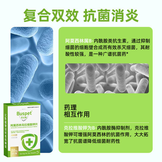 巴士宠阿莫西林克拉维酸钾片8片消炎片宠物感冒药线下专供 带兽药字 速诺同款成份 商品图2