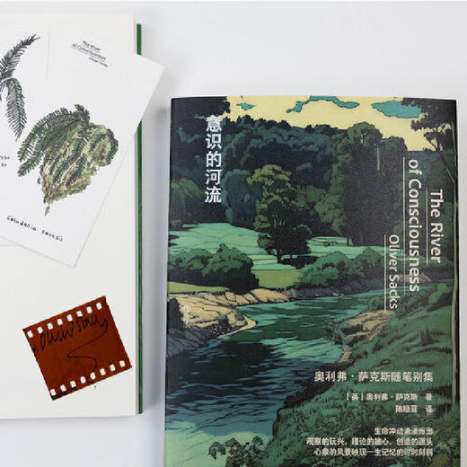 意识的河流  “医学界桂冠诗人”奥利弗・萨克斯的随笔别集 商品图2