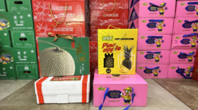 良田网纹蜜瓜+菠萝2粒装+鲜美滋三红柚+刘飞草莓柿子套餐