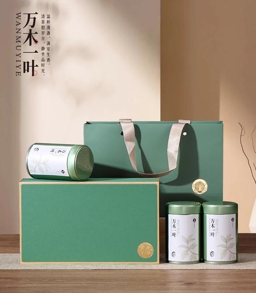 万木一叶【73高罐三合一 绿色】28元一套 一件24套 商品图3