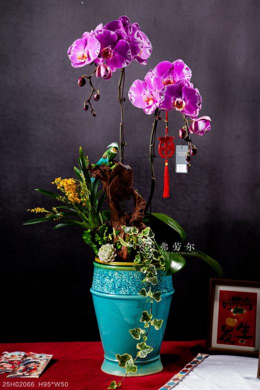 福蛇迎春 商品图0