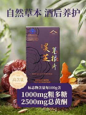 KJ  金九善牌灵芝葛根片 5g（0.5g/片*2片/袋*5袋/盒）