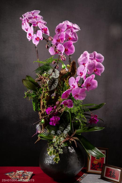 瑞蛇传喜讯 商品图0