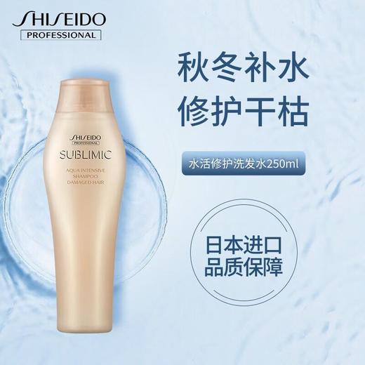 资生堂芯护理道水活修护系列洗发露250ml 商品图0