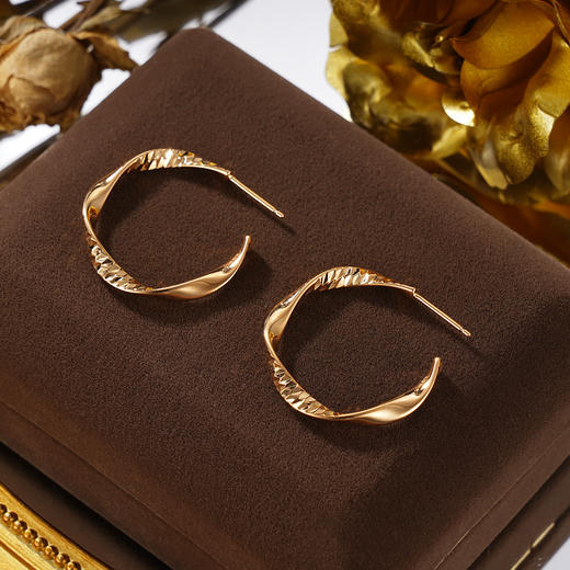 子佩集S925银【无尽之念】耳钉纯银【KK482E】时尚镀金扣环耳圈2501 商品图1