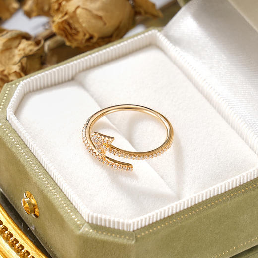 子佩集S925银【永恒之箭】戒指纯银【KK712R】时尚镀金2501 商品图2