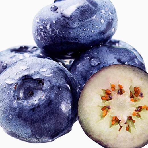 【顺丰空运】东北丹东L25蓝莓鲜果 脆甜花香个大 营养丰富 现摘现发 新鲜水果 - BYKSG 商品图5