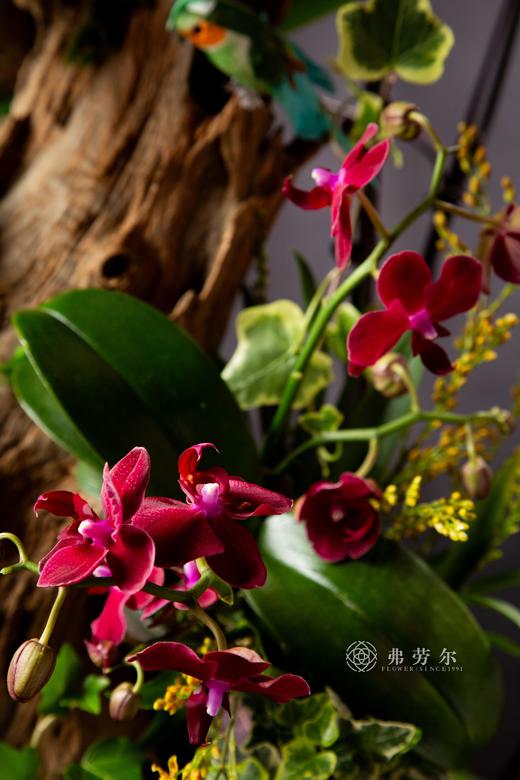 祥蛇贺岁 商品图3