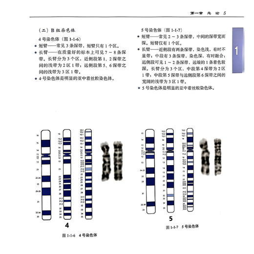 血液肿瘤细胞遗传学 赖悦云主编 细胞遗传学基本知识 急性髓系白血病 急性淋巴细胞白血病 9787565931024北京大学医学出版社 商品图4