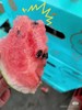 蜜蜂麒麟西瓜一箱(4粒） 商品缩略图5