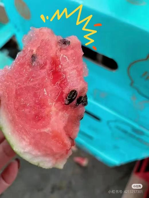 蜜蜂麒麟西瓜一箱(4粒） 商品图5