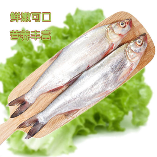 南都湖有机翘白 (去鳞、鳞、内脏）500g/袋 商品图1