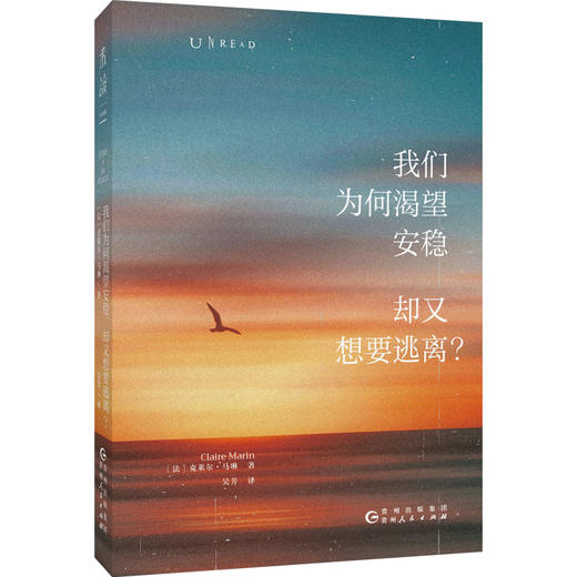 我们为何渴望安稳，却又想要逃离（平装），精神漂泊、身份重塑、情感转移，通过米歇尔·福柯、蒙田等作家…解读不安的灵魂、探索让一切翻篇儿的可能。 商品图2