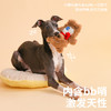 zeze小熊尼克响纸宠物玩具-B 商品缩略图3