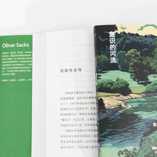 意识的河流  “医学界桂冠诗人”奥利弗・萨克斯的随笔别集 商品图3