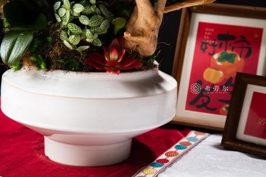 四季平安 商品图3