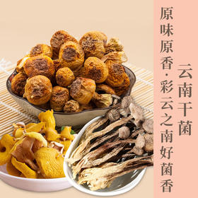 云南干菌系列  菜篮子里的贵族山珍   源于自然  菌味香浓   营养健康   汤鲜味浓  肉质脆嫩 以食养补 老少皆宜