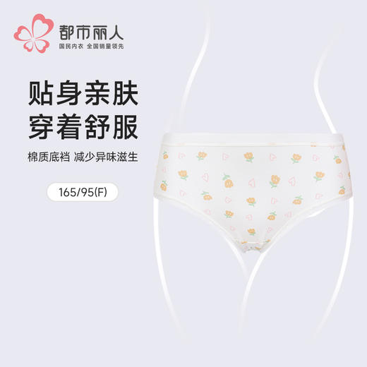 都市丽人40支棉舒肤棉三角裤LKH2A1 商品图0