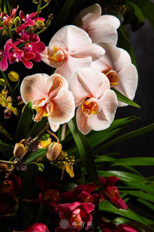 银蛇乐报春 商品图1