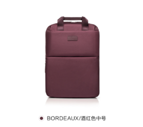 【员工内购】Lipault双肩包P95（请注意，内购商品不退换）