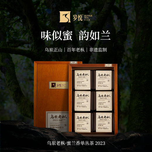 【自营】乌岽老枞·蜜兰香单枞茶2023 SY 商品图2