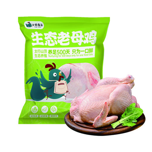 小鸡海蒂·太行山生态老母鸡1只装 1.15kg 商品图1
