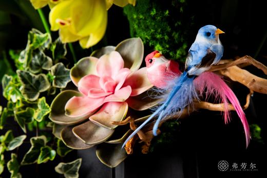 金蛇喜迎春 商品图2