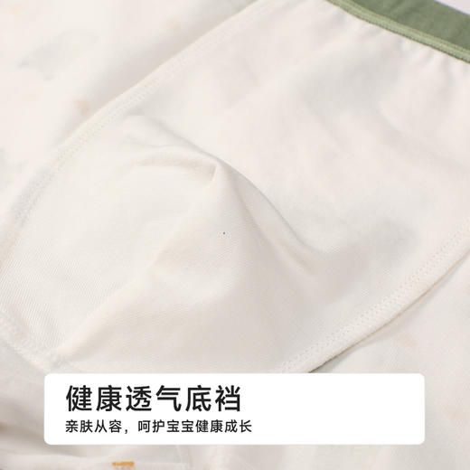 都市丽人平角男童内裤纯棉舒肤棉平角裤JKHB04 商品图7