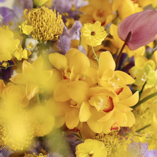 《锦绣》黄色紫色年宵花瓶插花
高80×宽50（㎝） 商品图6