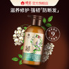 蜂花（BEE&FLOWER）九樽植萃头皮养护精华素358ml 商品缩略图6