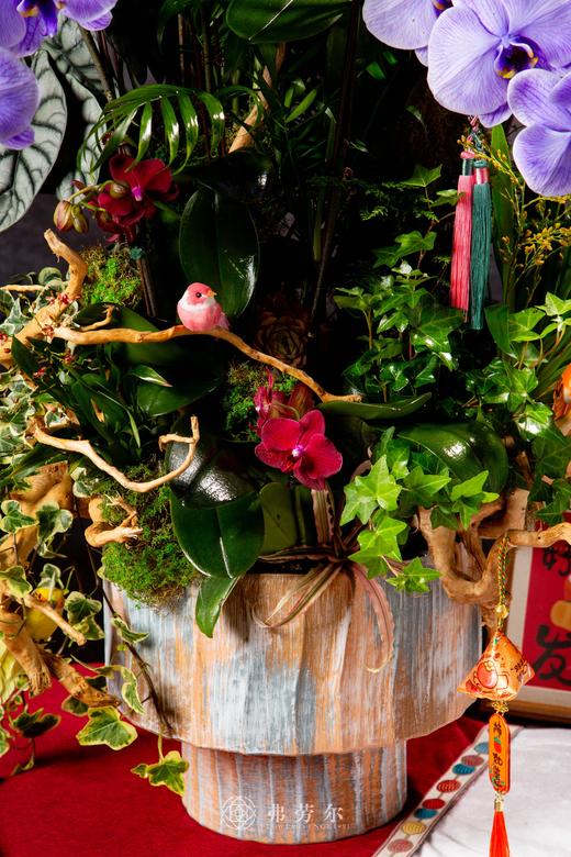 蛇舞翩跹 商品图6