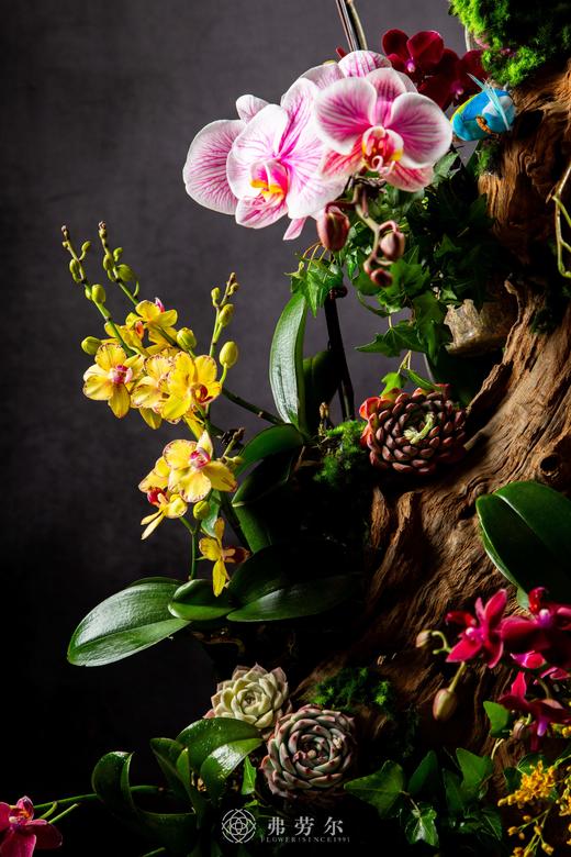 祥蛇贺岁 商品图1