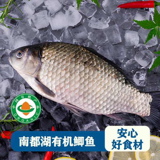 南都湖有机鲫鱼 (去鳞、内脏）500g/袋（2-3条)*5 商品图1